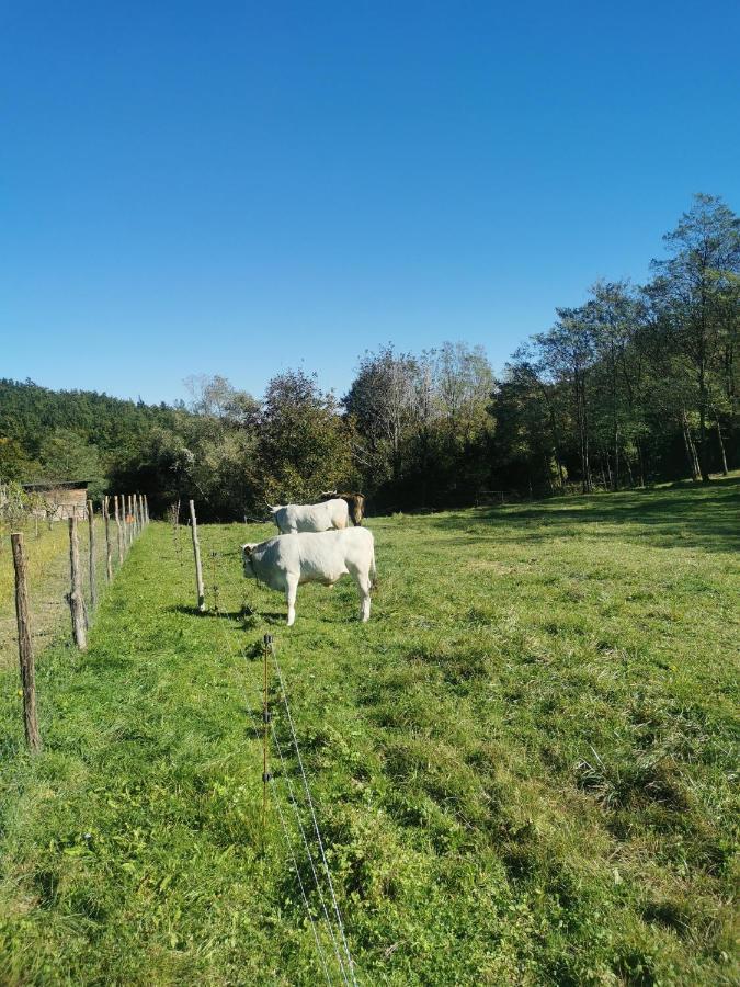 Apartma Baladur Brezovica pri Gradinu Exterior photo